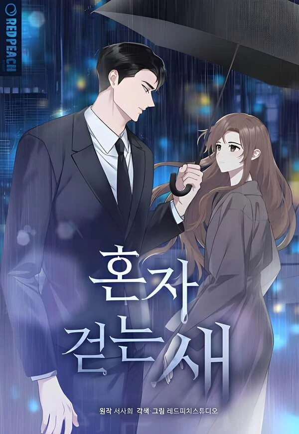 Solitary Bird [Siren Scans]